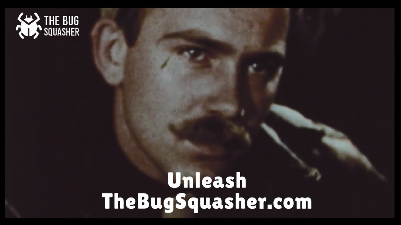 The Bug Squasher - Visual Feedback And Testing Tool - 30 Second Promo