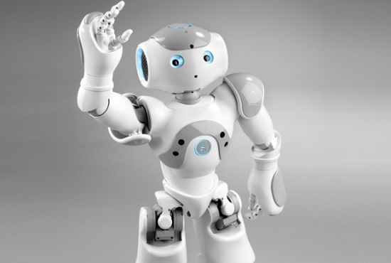 NAO Robot (Aldebaran Robotics)