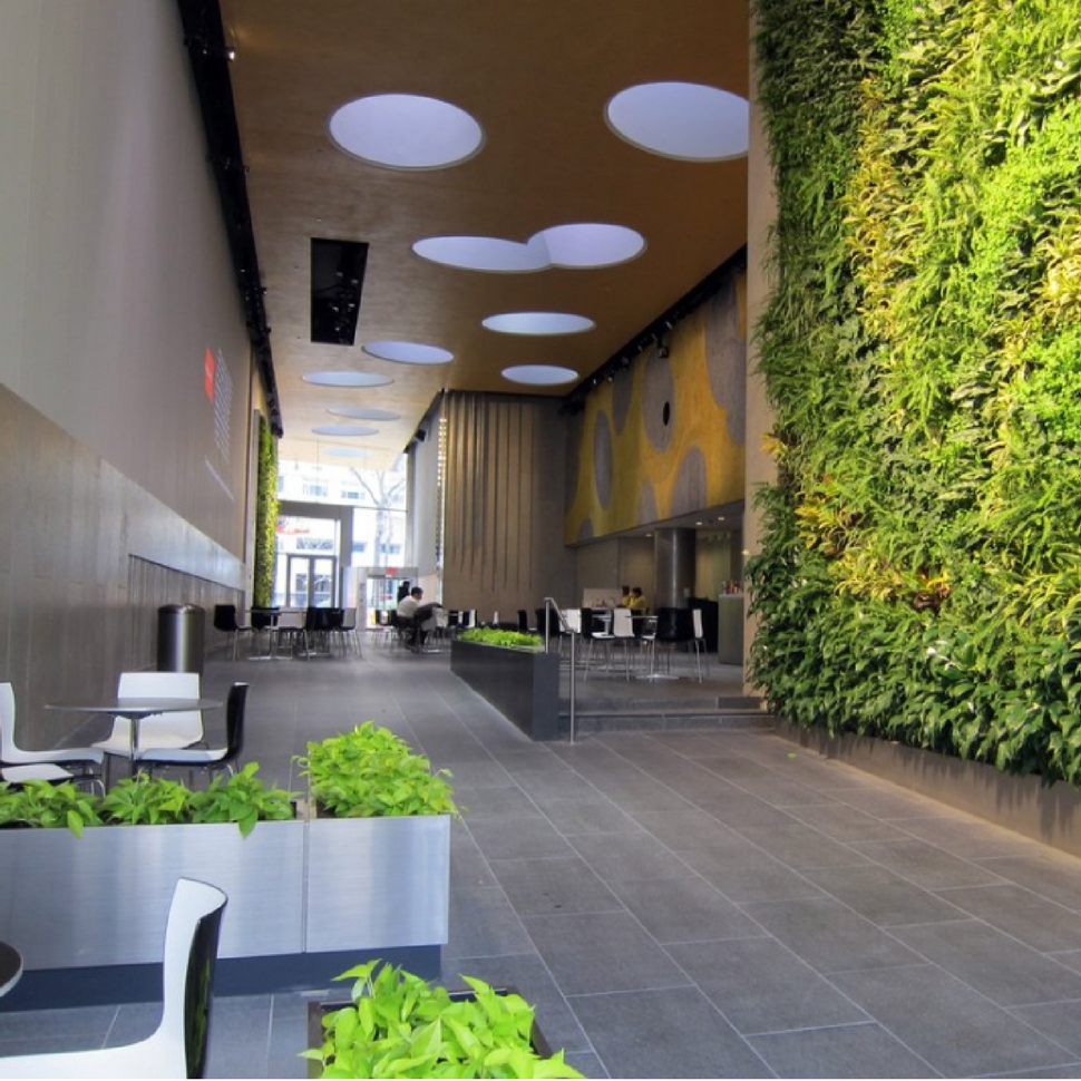 biophilic workplace design Terrapin