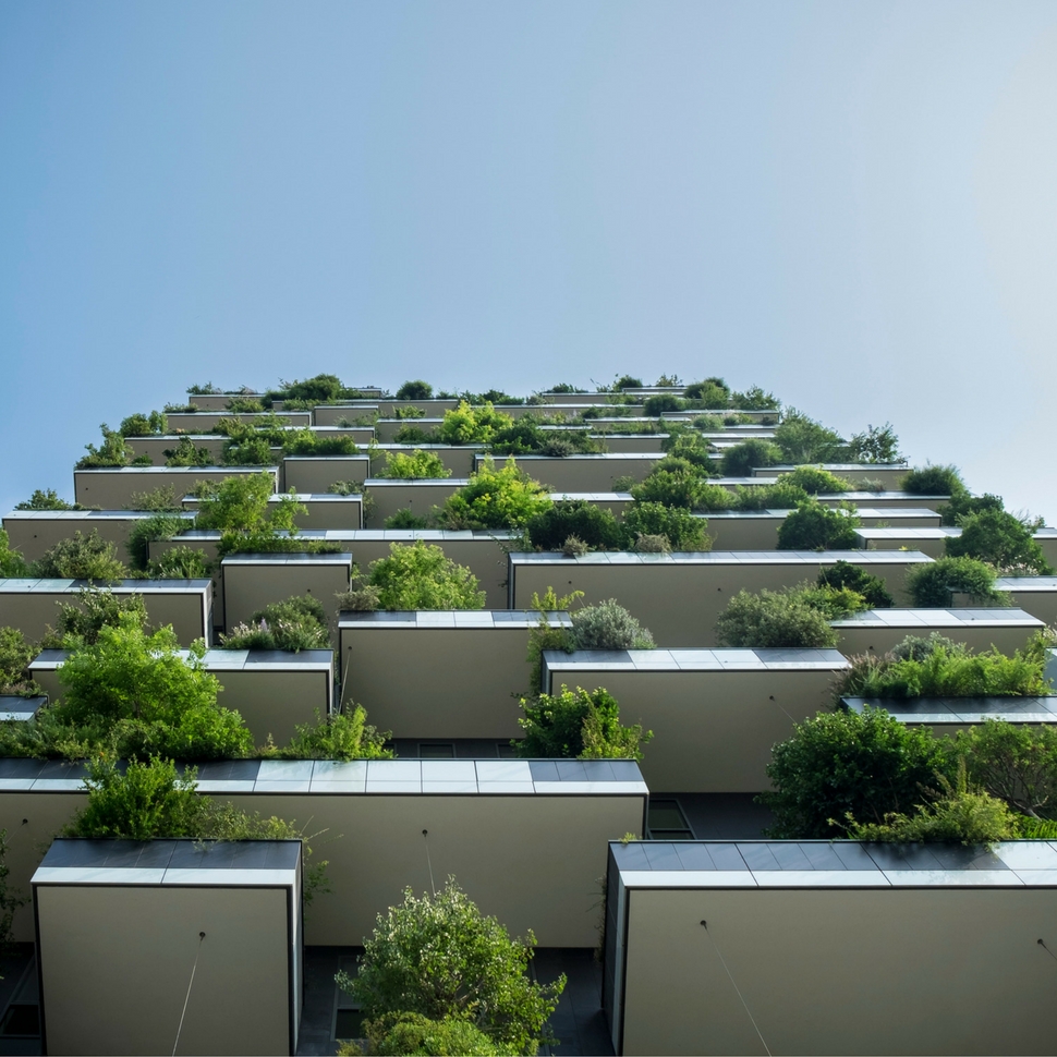 green workspace buildings