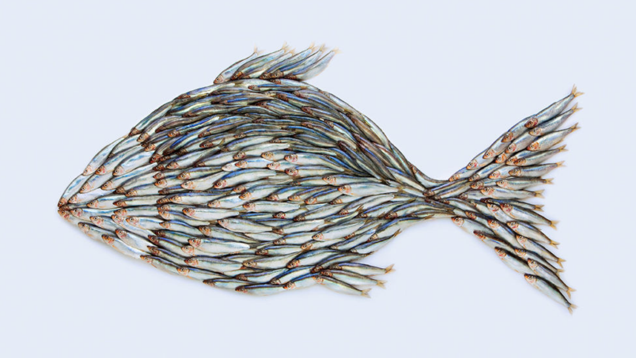 Daily Digest   A   T