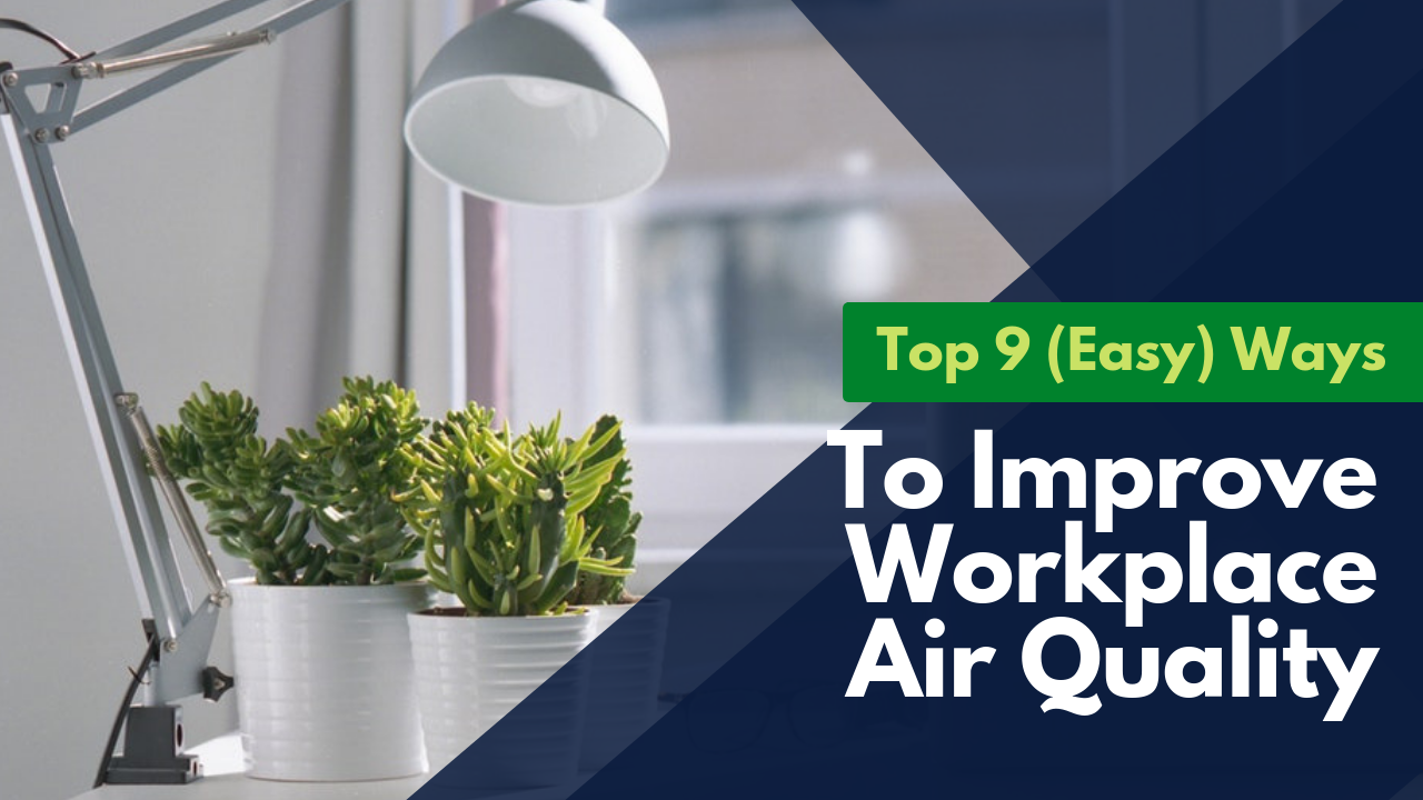 Top 9 (Easy) Ways To Improve Workplace Indoor Air Quality