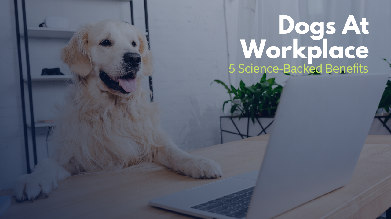 Dogs at Workplace  benefits