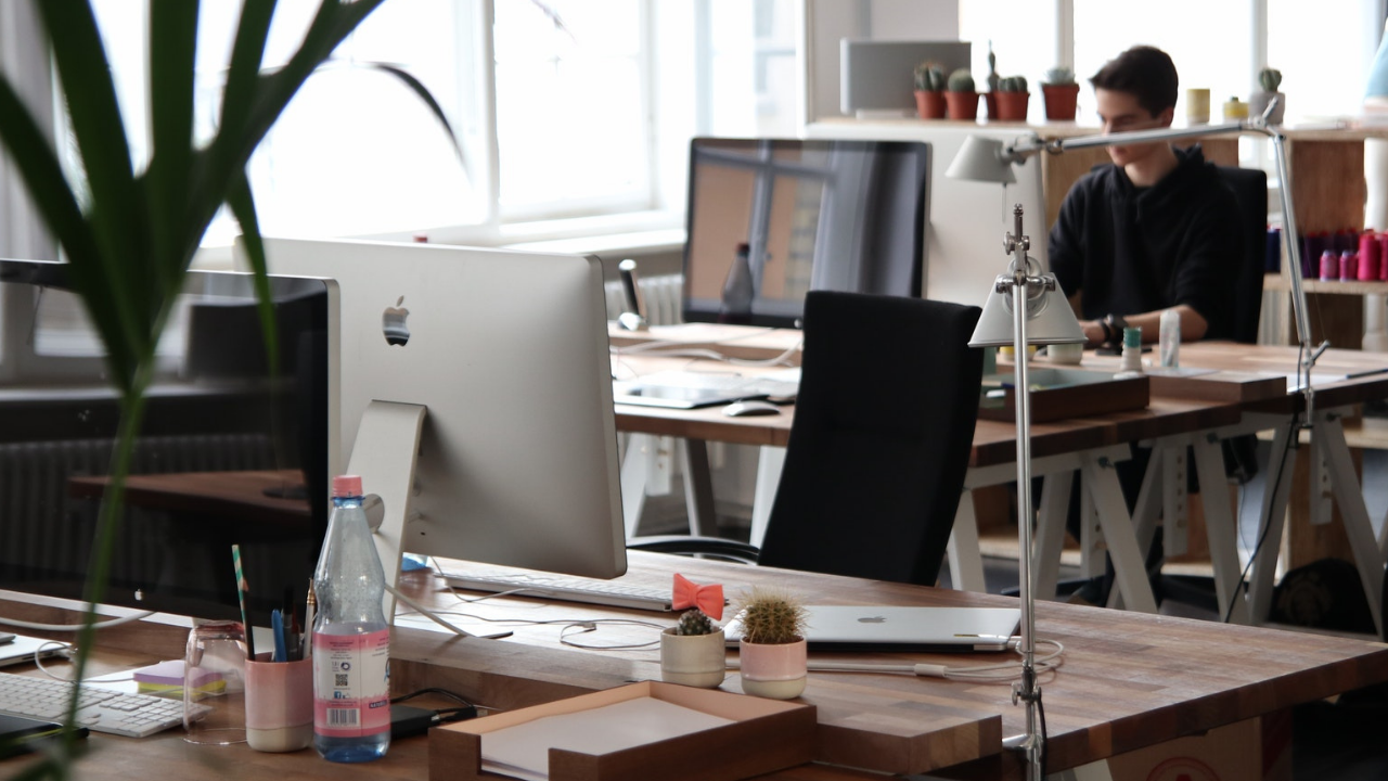 Daily Digest Articles