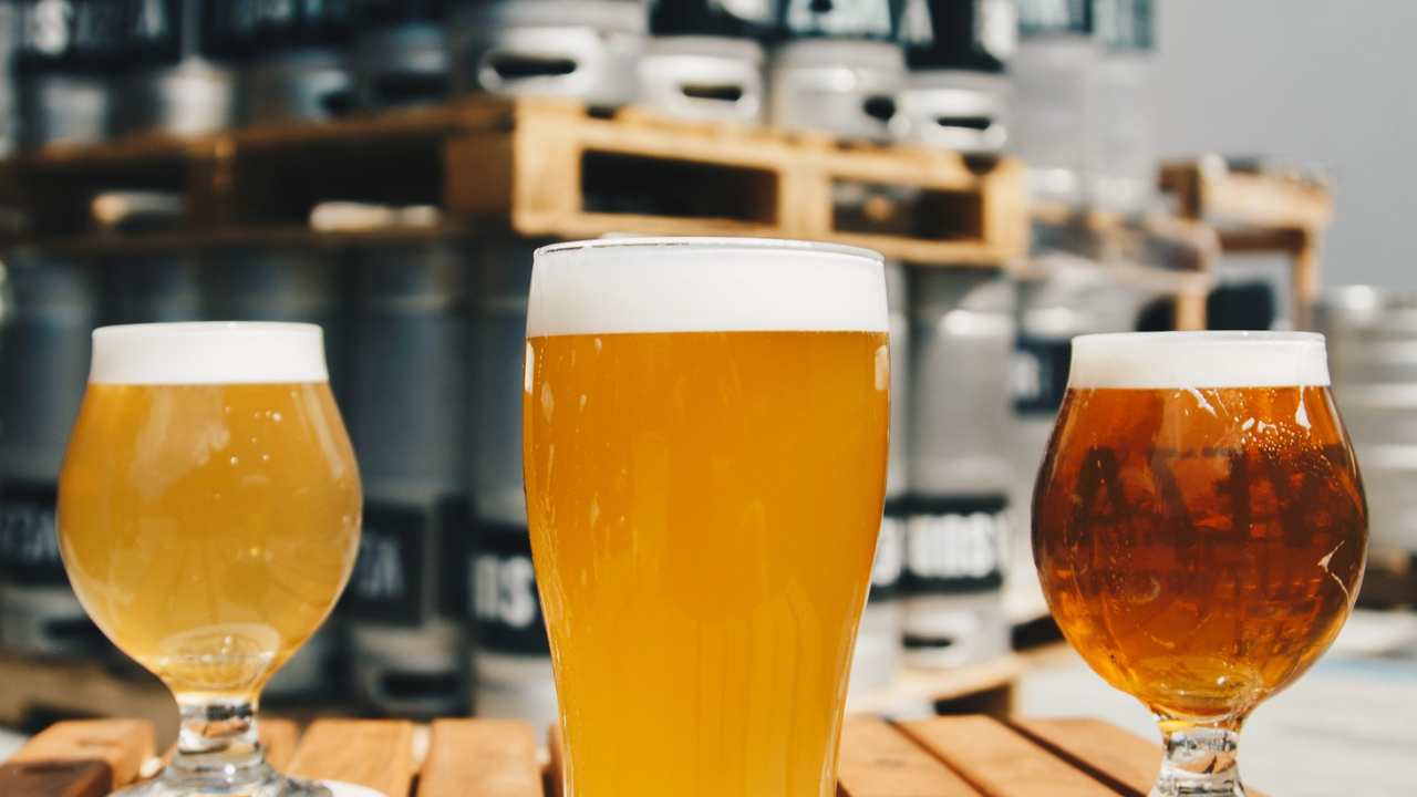 Daily Digest Articles