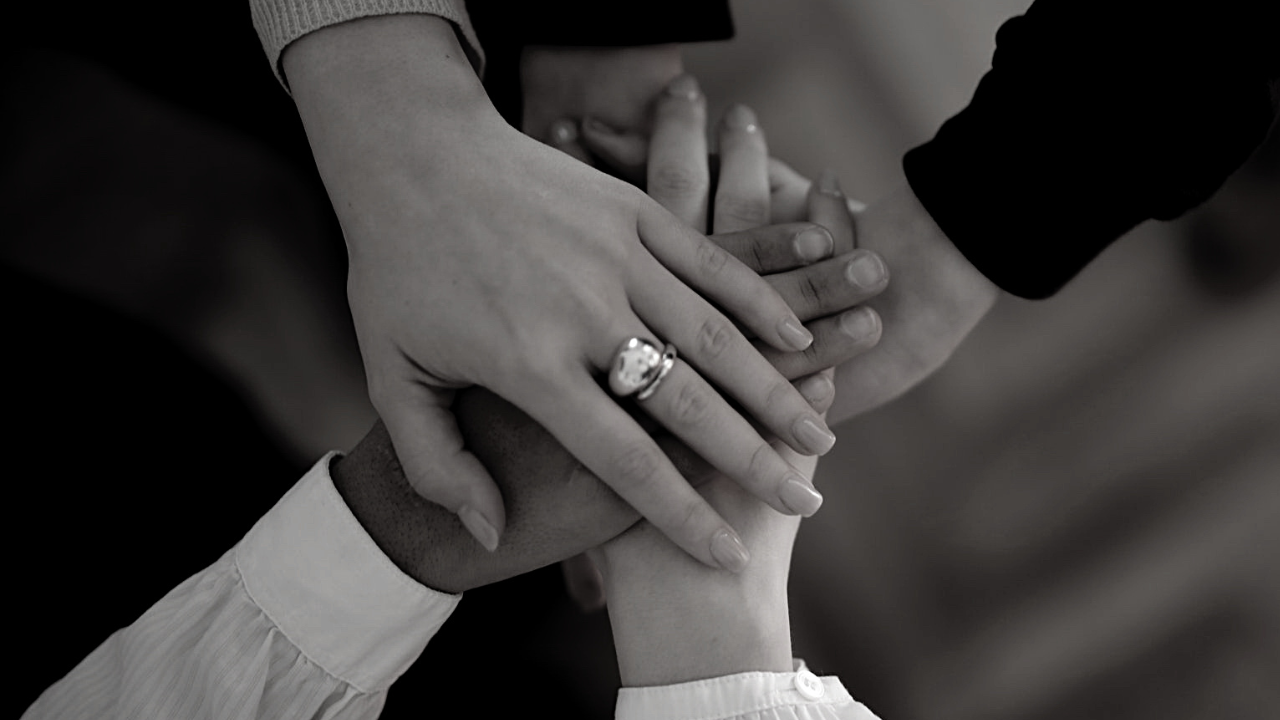 Daily Digest Articles