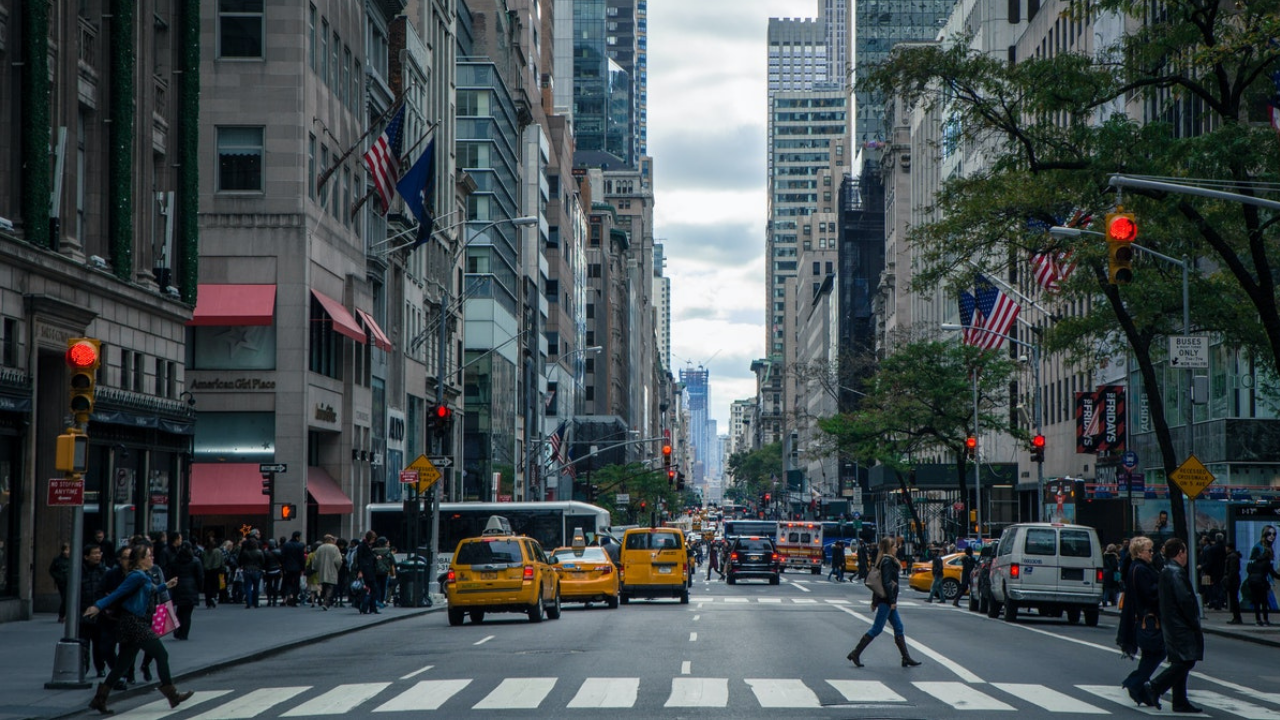 Daily Digest Articles