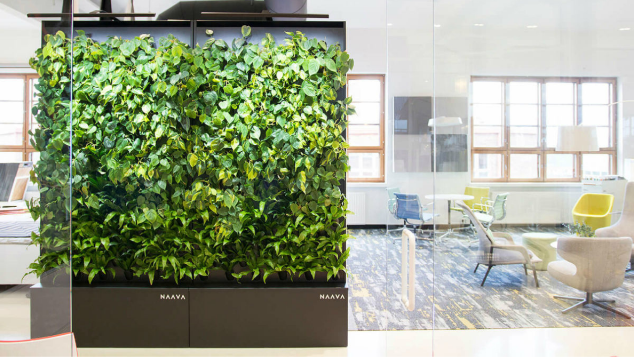 Why Offices Are Incorporating Living Walls
