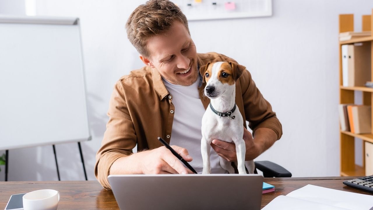 Can Dogs Help You Work Better?