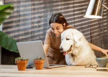 5 Reasons Why Dogs Make Pawfect Coworkers