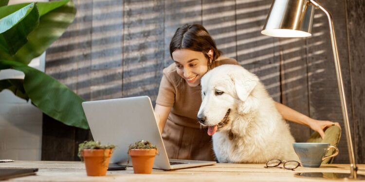 5 Reasons Why Dogs Make Pawfect Coworkers