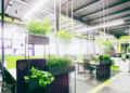 How Healthy Is Your Building?