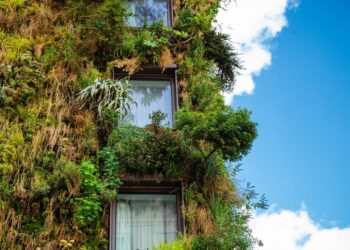 Companies are willing to pay more for buildings with green credentials