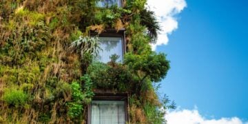 Companies are willing to pay more for buildings with green credentials