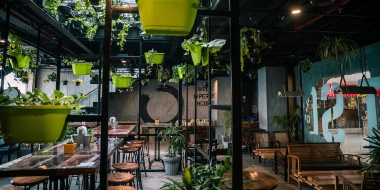 Caffeine, Connection, And Career Growth: Coworking Cafés Are Brewing Productivity