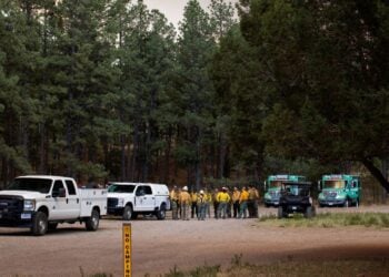 Trump Moves To Fire 4,400 Forest And Park Service Workers