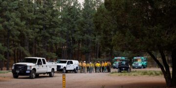 Trump Moves To Fire 4,400 Forest And Park Service Workers