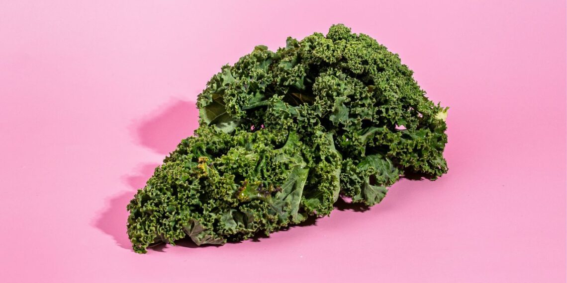 The Hybrid Office Of The Future A Place To Work And Grow Food