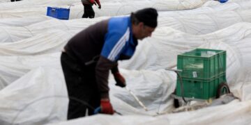 Immigrant Labor Keeps Euro Zone Economy Thriving Despite Shrinking Workforce