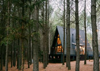 Airbnb’s New Experience Strategy Is A UX Masterclass For The Future Workplace