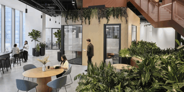 This Third Discipline Is Changing How We Design Workplaces