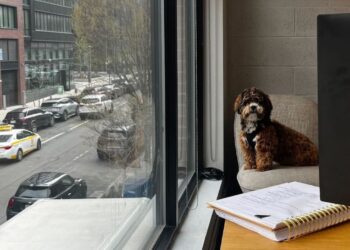 5 Pet-Friendly Coworking Spaces Where You Can Bring Your Best Friend To Work