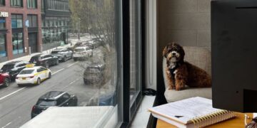 5 Pet-Friendly Coworking Spaces Where You Can Bring Your Best Friend To Work
