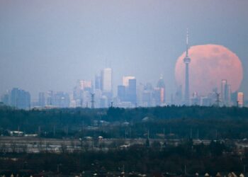 Canada Services Economy Shrinks Again As Jobs, Backlogs Decline