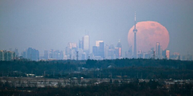 Canada Services Economy Shrinks Again As Jobs, Backlogs Decline