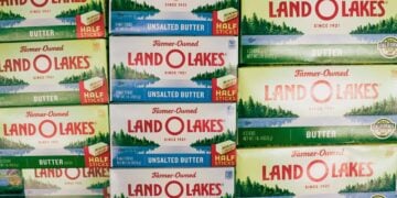 How One Land O’Lakes Leader Is Planting AI Into The Future Of Farming