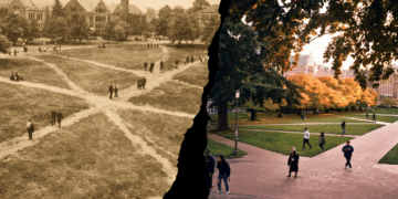 What are Desire Paths and What Do They Have to Do with Coworking