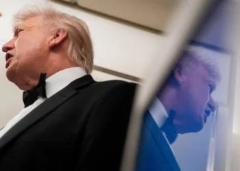 Federal Appeals Court Clears Trump Administration To Ban DEI For Federal Contractors And Agencies