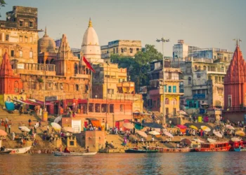 India Office Market Grows 20% in 2025, Despite Rising AI Job Fears