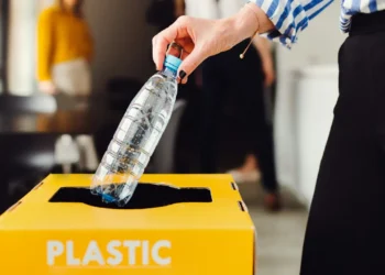 Sustainability Upgrades Are Becoming A Core Commercial Strategy for Office Real Estate