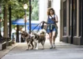 New Business Formations Hit Record High As Americans Turn To Entrepreneurship Amid Rising Costs