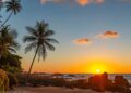 What a Vacation Without Screens Taught Me About Burnout And The Purpose Of Time Off Work