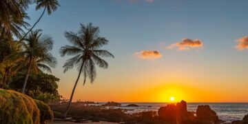 What a Vacation Without Screens Taught Me About Burnout And The Purpose Of Time Off Work