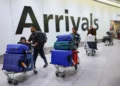 Immigration Is A Major Driver Of Workforce Productivity In Wealthy Nations, New Study Finds