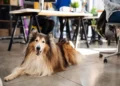 These Are The Best U.S. Cities For Coworking Amenities