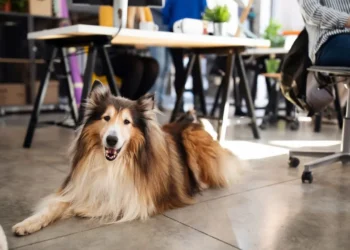 These Are The Best U.S. Cities For Coworking Amenities