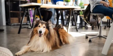 These Are The Best U.S. Cities For Coworking Amenities