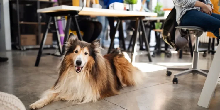 These Are The Best U.S. Cities For Coworking Amenities