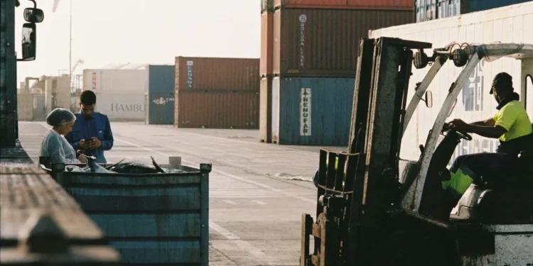 Monster Report Reveals The Most In-Demand Jobs and Fastest-Growing Hiring Markets